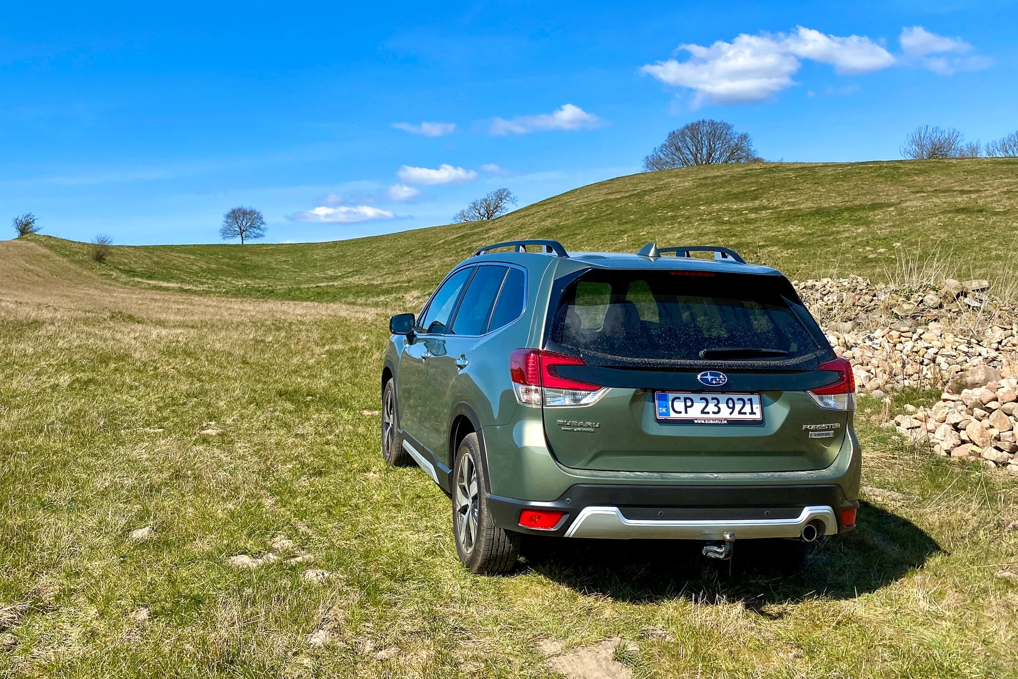 Subaru Forester E-Boxer Bag