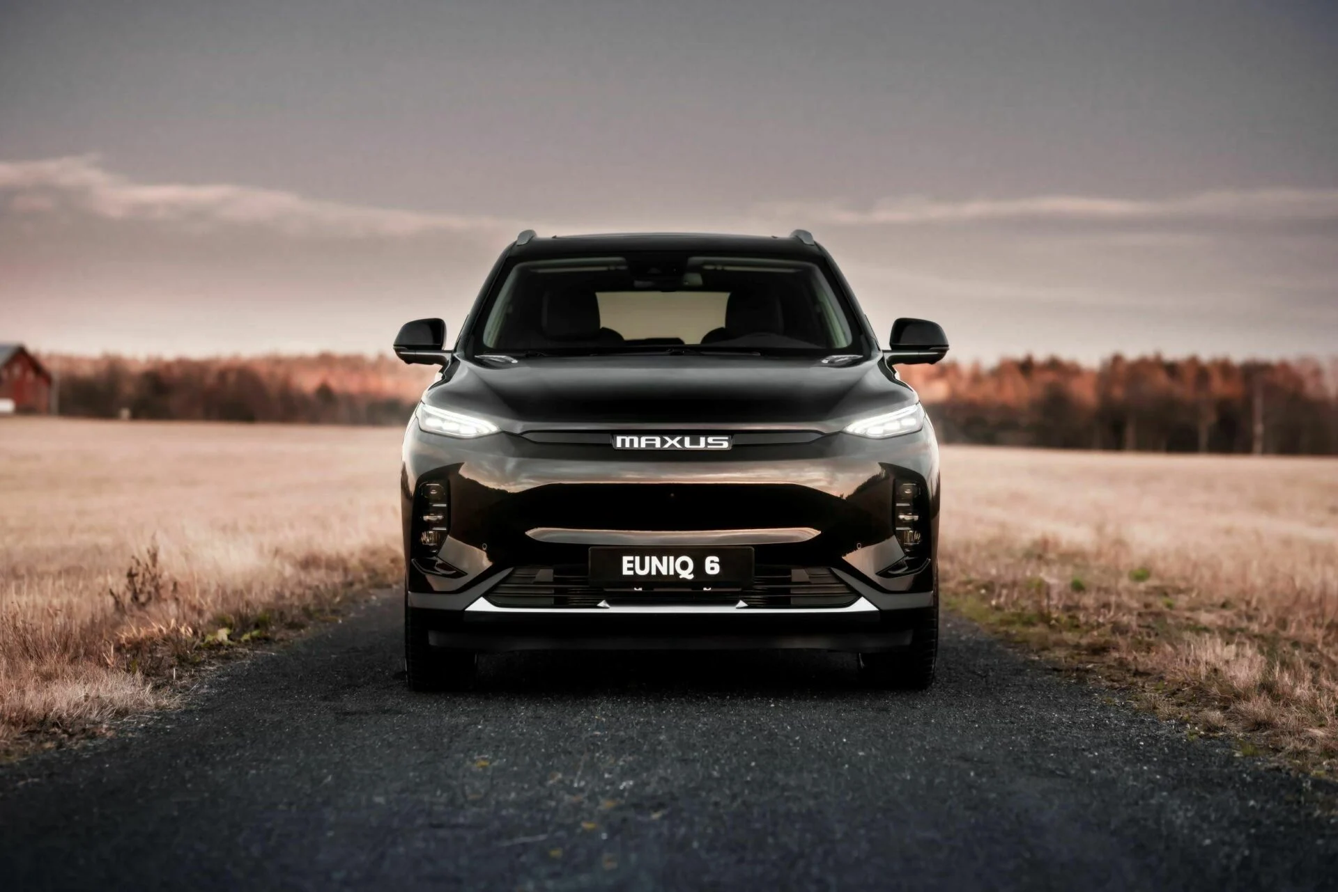 Maxus Euniq 6