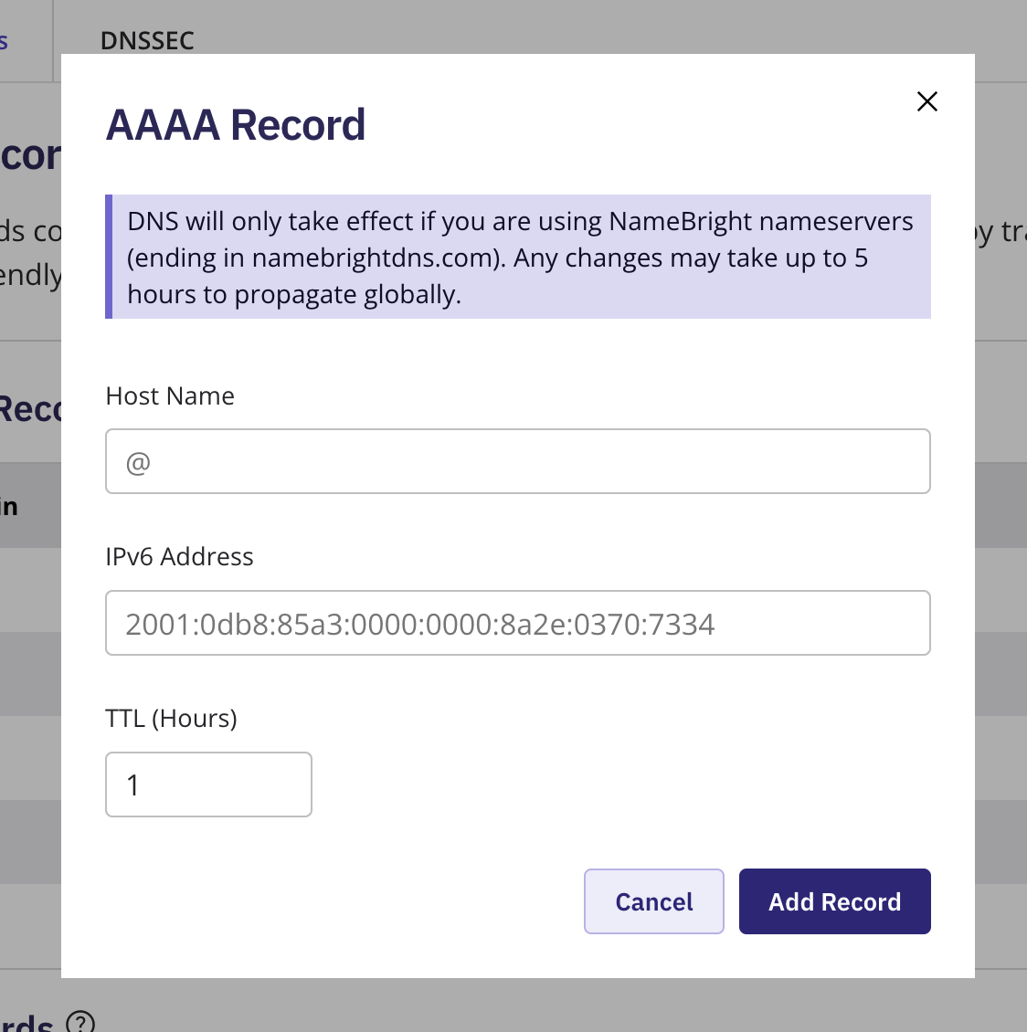The Add New DNS Record form with AAAA selected as the type, showing the Hostname, IPv6, and TTL fields