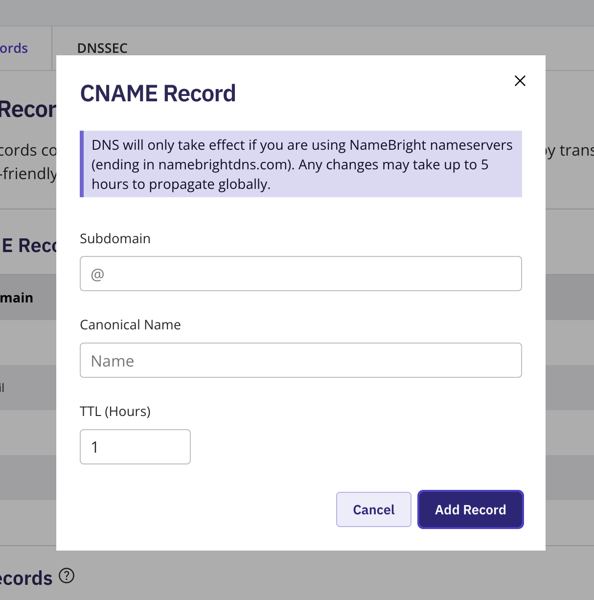 The Add New DNS Record form with CNAME selected as the type, showing the Hostname, Target, and TTL fields