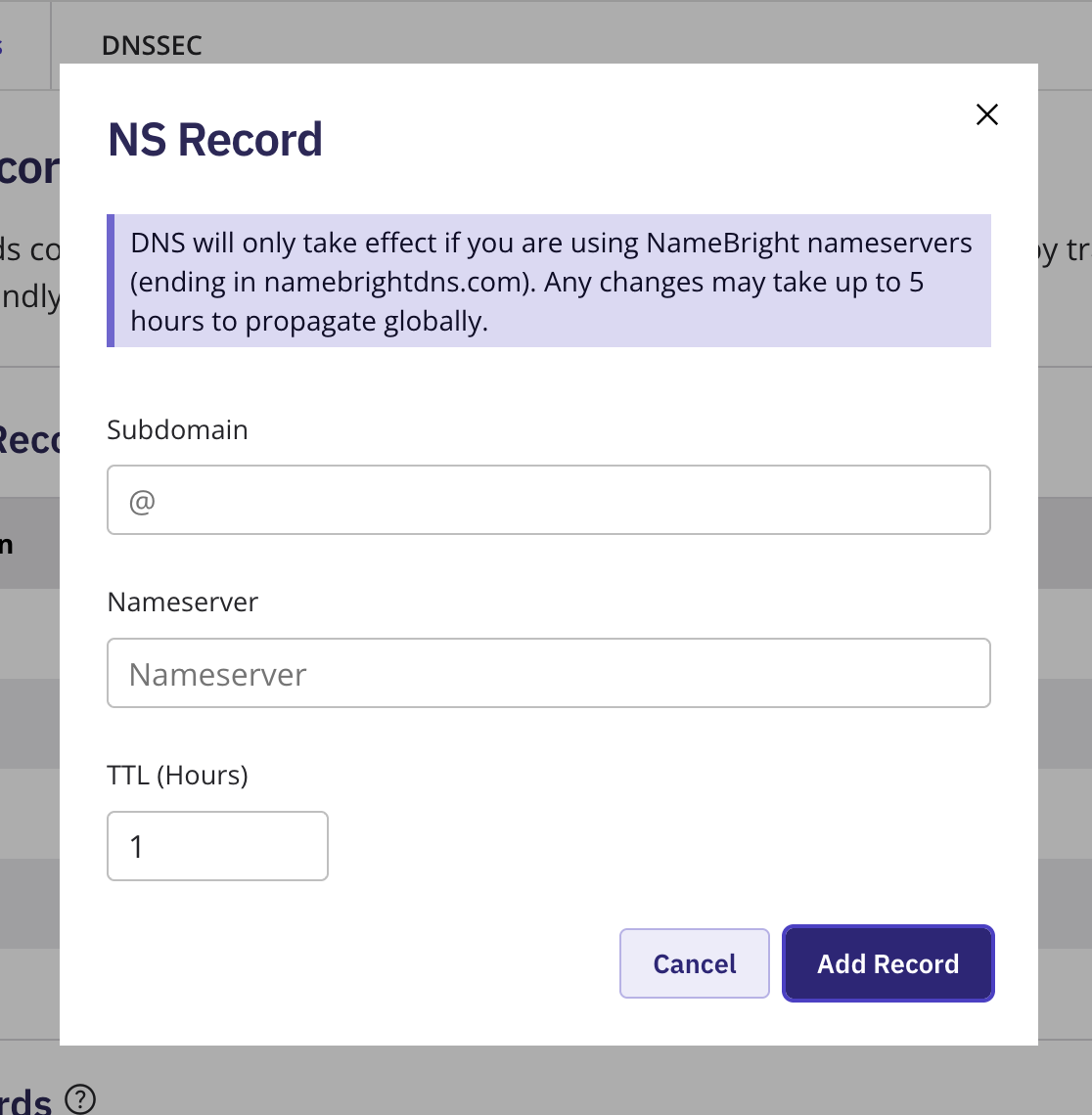 The Add New DNS Record form with NS selected as the type, showing the Subdomain, Nameserver, and TTL fields