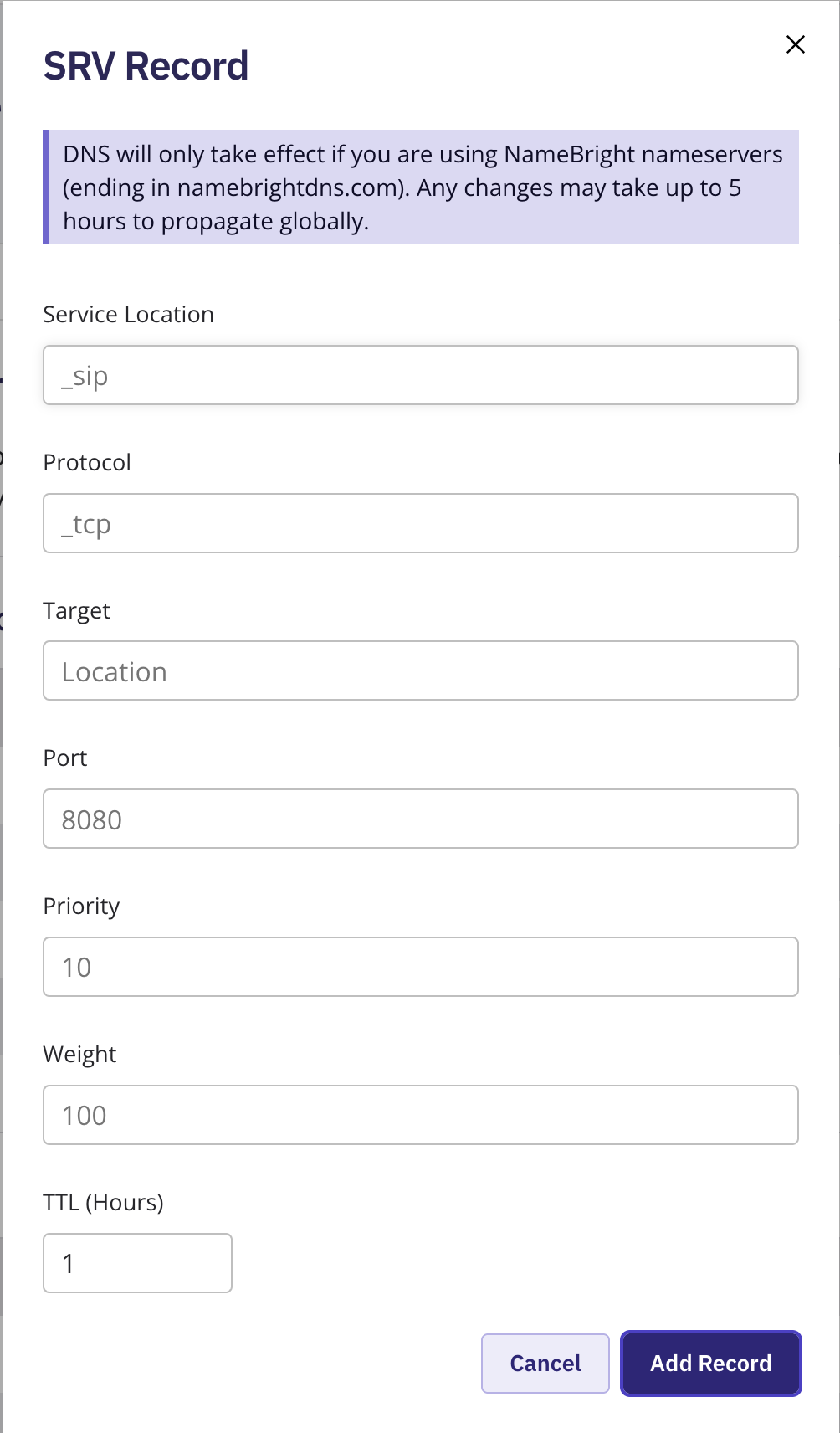 The Add New DNS Record form with SRV selected as the type, showing the Service, Location, Protocol, Target, Port, Priority, Weight, and TTL fields