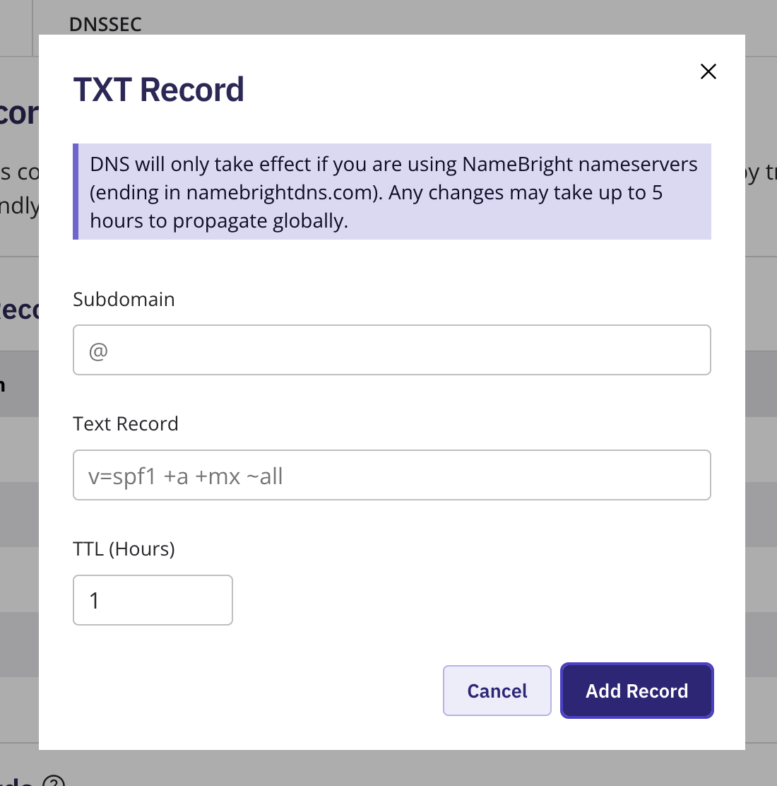 The Add New DNS Record form with TXT selected as the type, showing a DKIM or DMARC value entered
