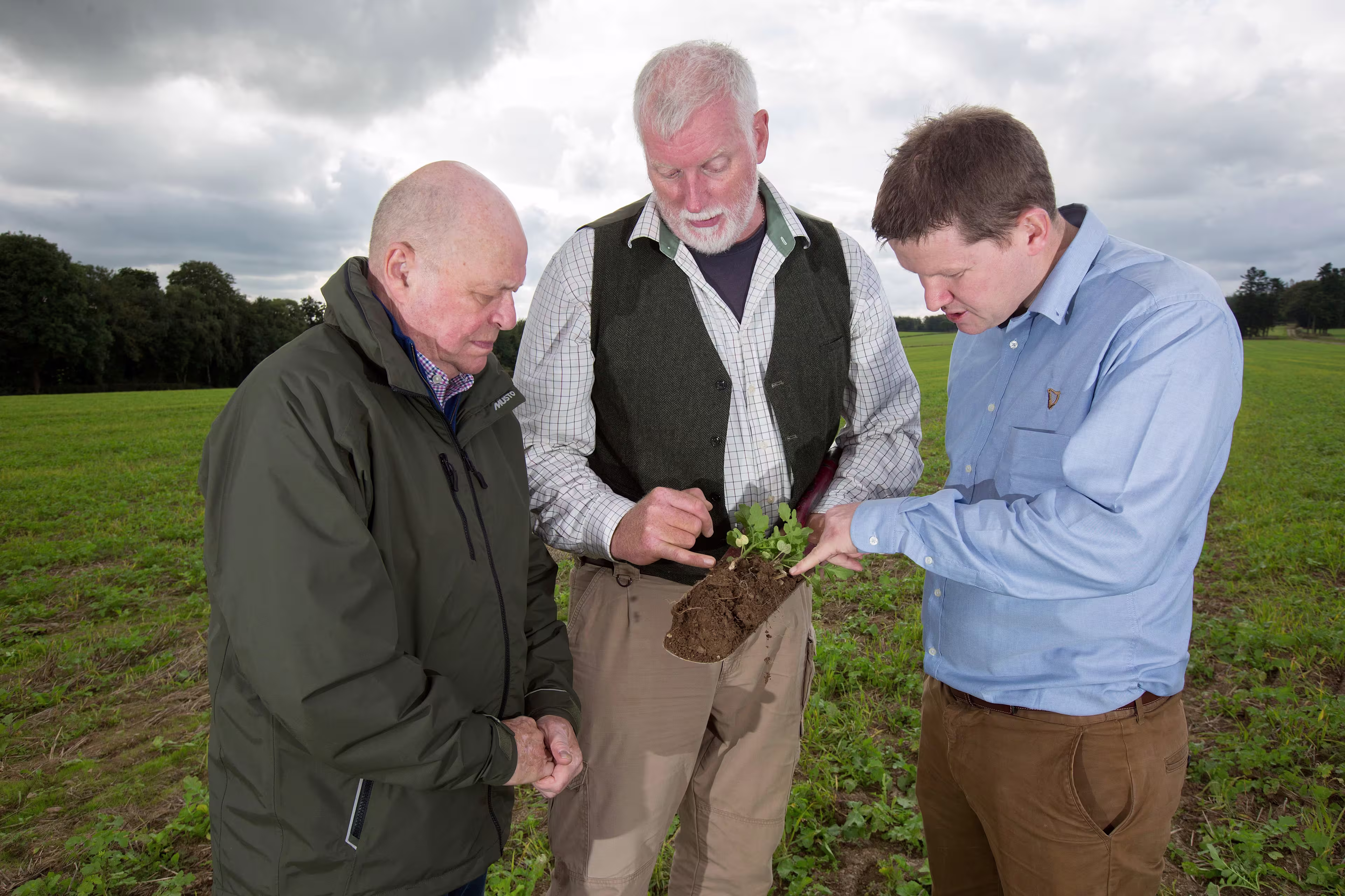 Soil inspection
