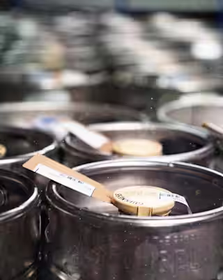 The Story of Guinness - Horizontal Image