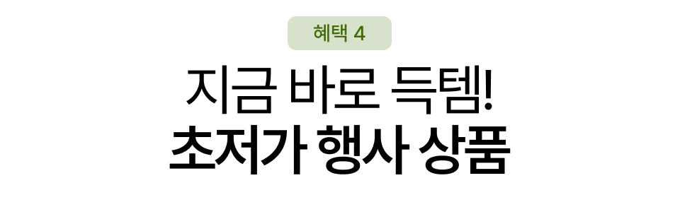 혜택 4. 지금 바로 득템! 초저가 행사 타이틀