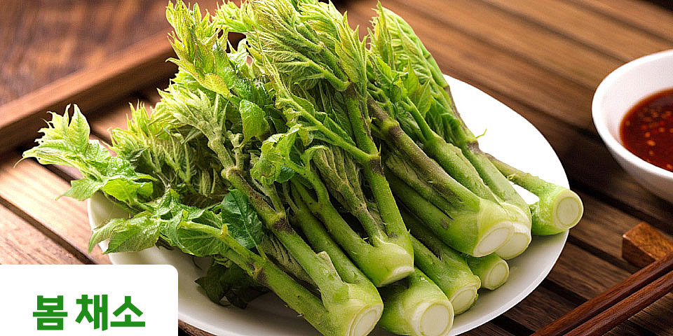 봄 채소