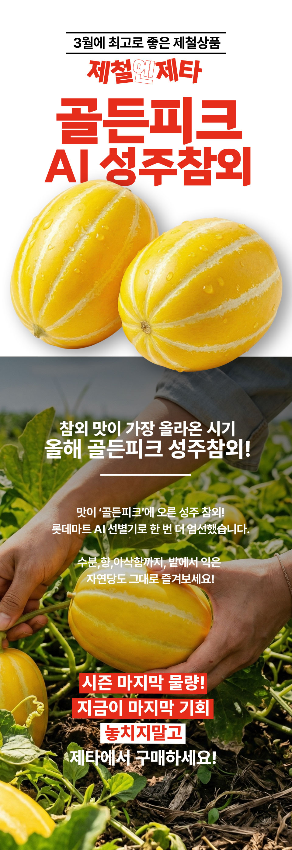 3월에 최고로 좋은 제철상품. 제철엔 제타. 골든피크 AI성주참외. 참외 맛이 가장 올라온 시기 올해 골든피크 성주참외! 롯데마트 AI선별기로 한 번 더 엄선했습니다. 수분, 향, 아삭함 까지, 밭에서 익은 자연당도 그대로 즐겨보세요. 시즌 마지막 물량! 지금이 마지막 기회, 놓치지 말고 제타에서 구매하세요.