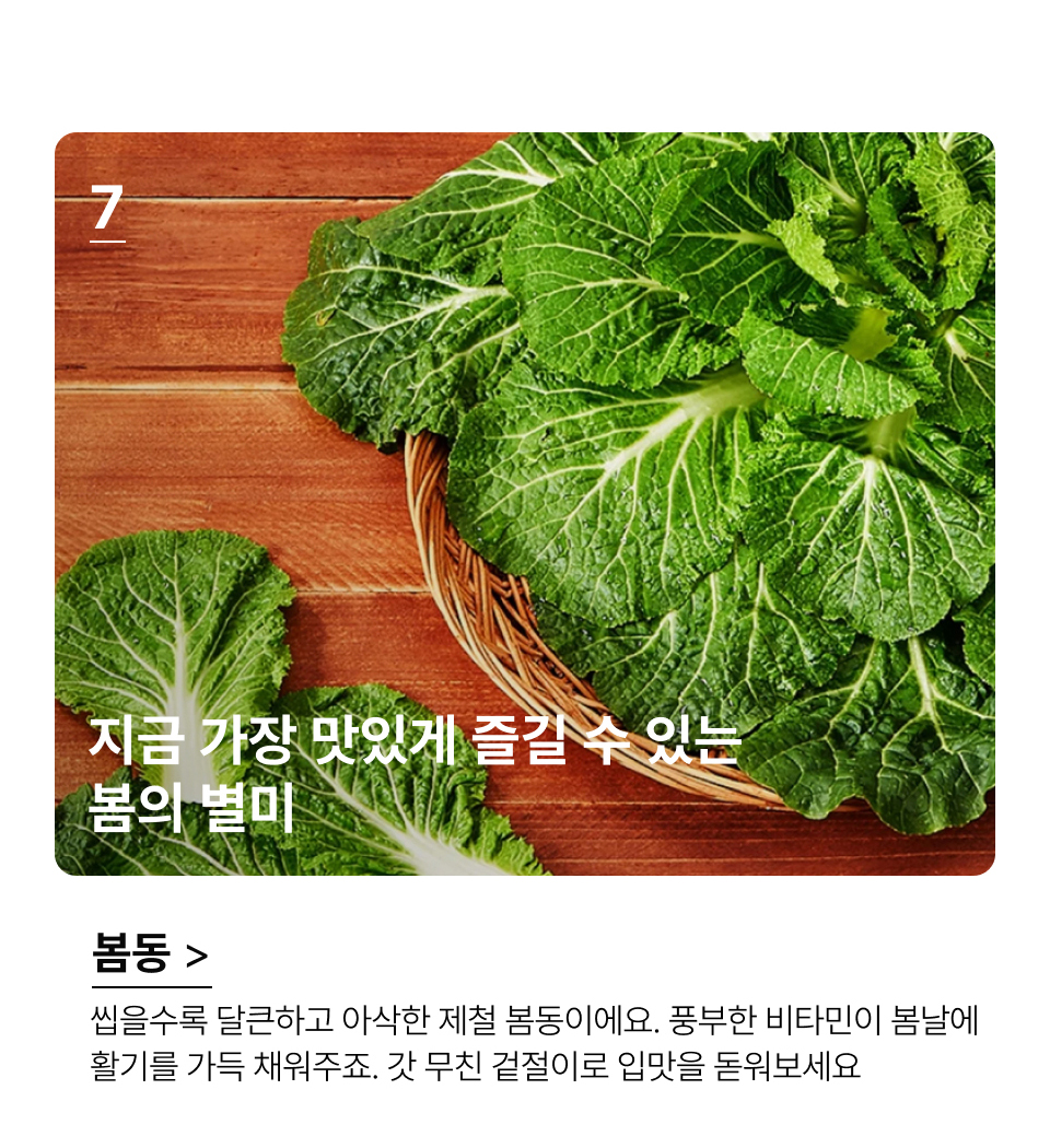 씹을수록 달큰하고 아삭한 제철 봄동이에요. 풍부한 비타민이 봄날에 
활기를 가득 채워주죠. 갓 무친 겉절이로 입맛을 돋워보세요.씹을수록 달큰하고 아삭한 제철 봄동이에요. 풍부한 비타민이 봄날에 
활기를 가득 채워주죠. 갓 무친 겉절이로 입맛을 돋워보세요