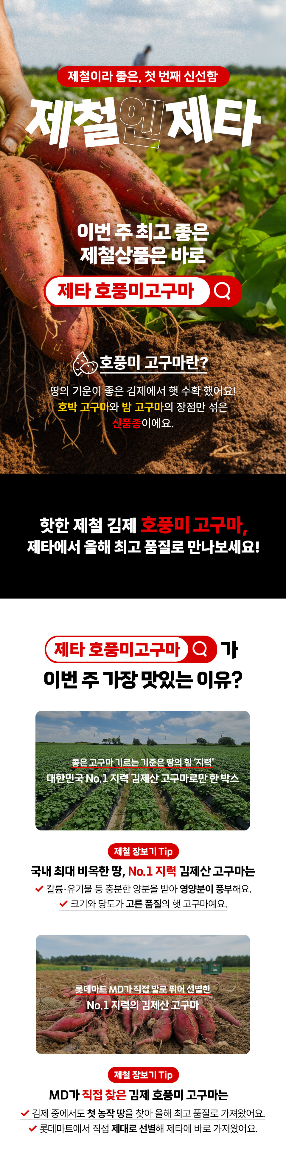 제철이라 좋은, 첫 번째 신선함 제철엔제타 이번 주 최고 좋은 제철상품은 바로 제타 호풍미고구마 호풍미고구마란?
땅의 기운이 좋은 김제에서 햇 구확 했어요! 호박 고구마와 밤 고구마의 장점만 섞은 신품종이에요.
핫한 제철 김제 호풍미 고구마, 제타에서 올해 최고 품질로 만나보세요! 제타 호풍미 고구마가 이번 주 가장 맛있는 이유?
좋은 고구마 기르는 기준은 땅의 힘 지력 대한민국 No.1 지력 김제산 고구마로만 한 박스
제철 장보기 Tip 국내 최대 비옥한 땅, No.1 지력 김제산 고구마는 칼륨, 유기물 등 충분한 양분을 받아 영양분이 풍부해요.
크기와 당도가 고른 품질의 햇 고구마에요.
롯데마트 MD가 직접 발로 뛰어 선별한 No.1 지력의 김제산 고구마
제철 장보기 Tip MD가 직접 찾은 김제 호풍미 고구마는 김제 중에서도 첫 농작 땅을 찾아 올해 최고 품질로 가져왔어요.
롯데마트에서 직접 제대로 선별해 제타에 바로 가져왔어요.