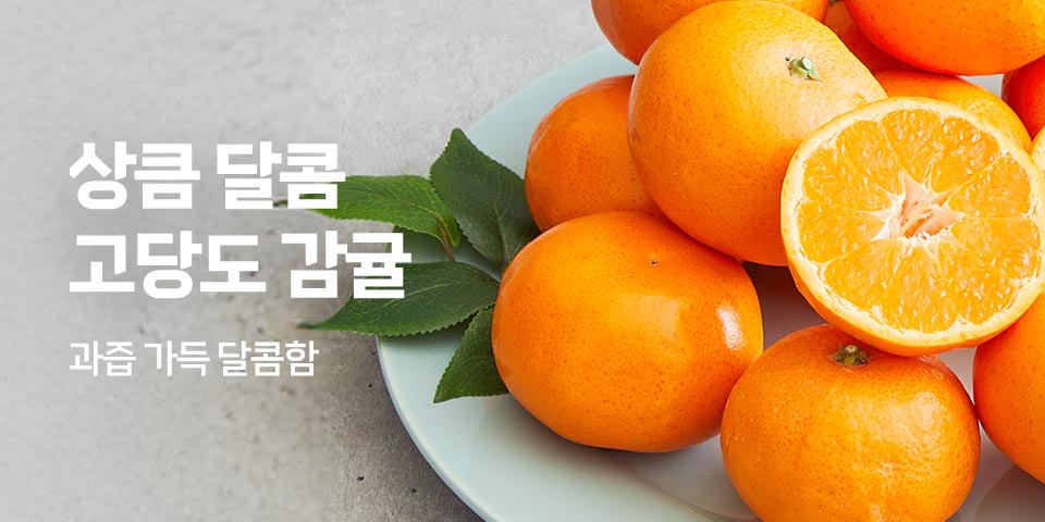 상큼달콤 고당도 감귤, 과즙 가득 달콤함