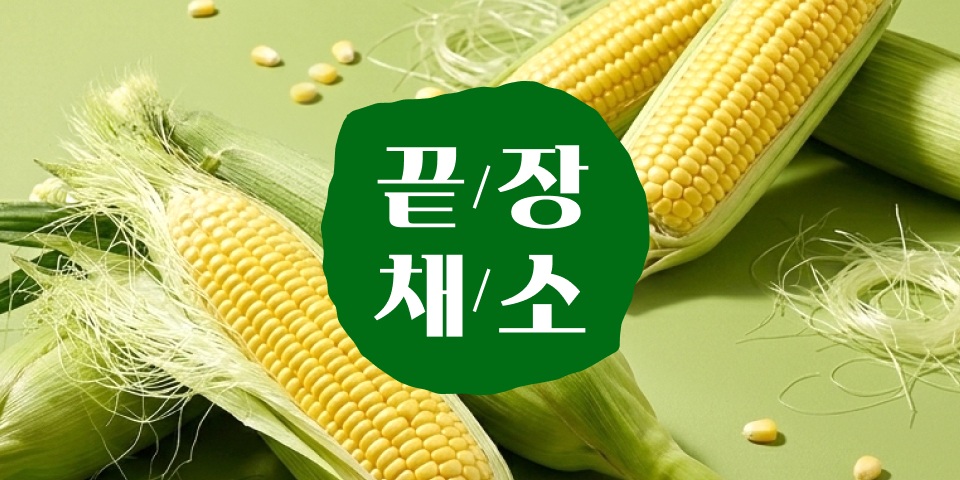 끝장채소