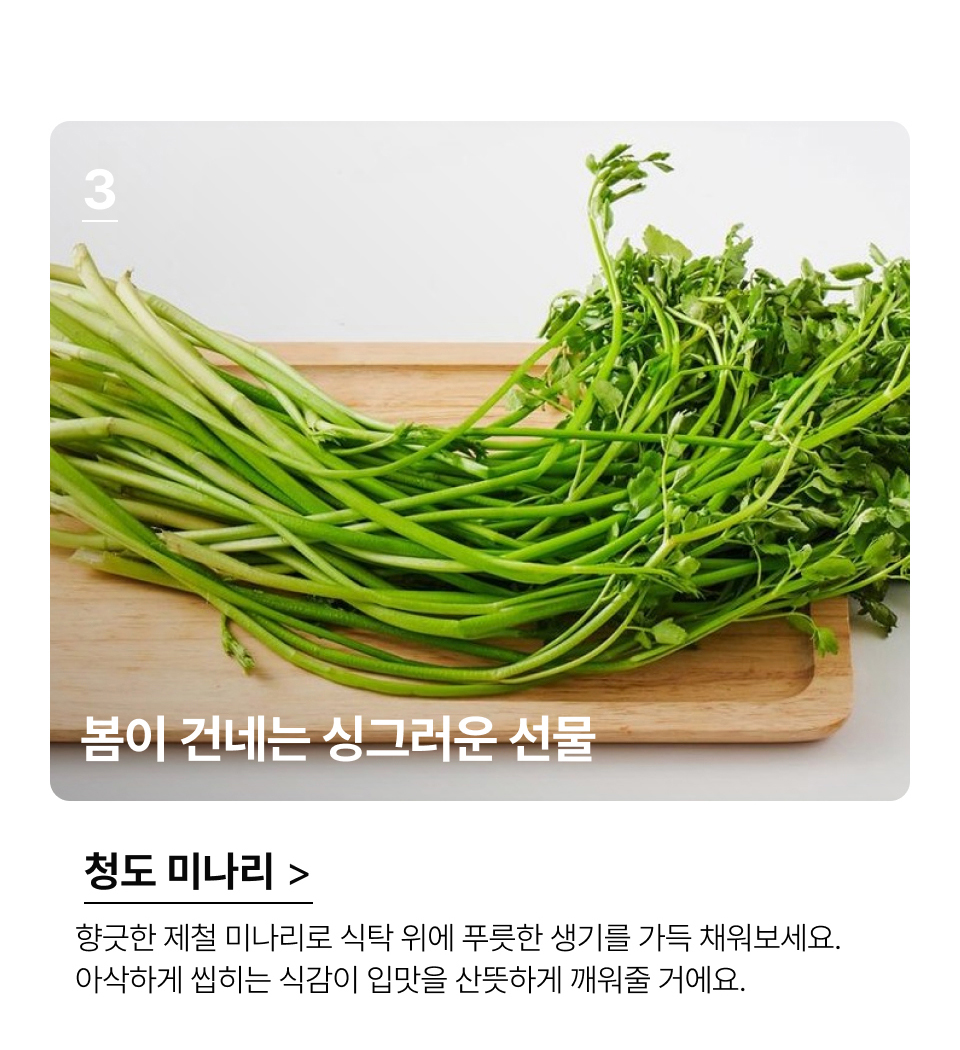 제철이 아니면 쉽게 만나기 어려운 딸기, 이제 얼마 남지 않은 
이 달콤한 계절을 놓치지 말고 마음껏 즐겨보세요.향긋한 제철 미나리로 식탁 위에 푸릇한 생기를 가득 채워보세요.
아삭하게 씹히는 식감이 입맛을 산뜻하게 깨워줄 거에요.