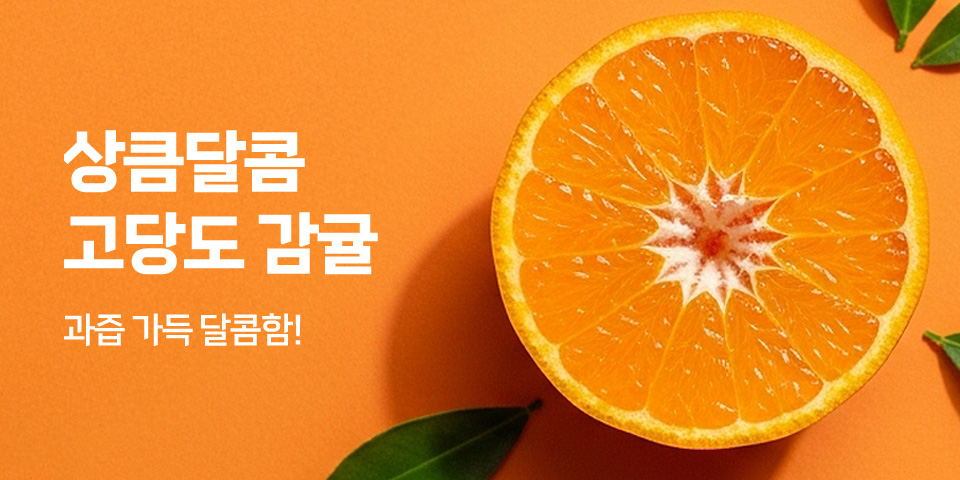 상큼달콤 고당도 감귤