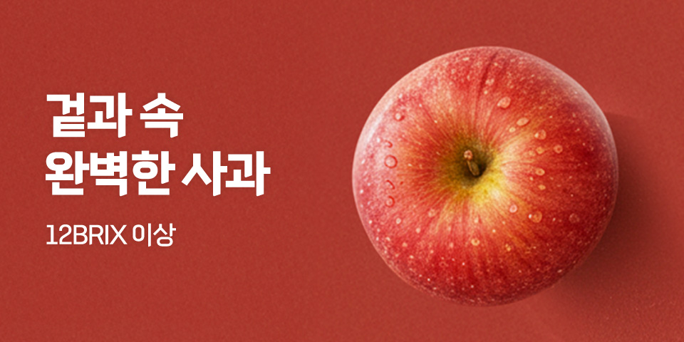 상큼달콤 고당도 감귤, 과즙 가득 달콤함