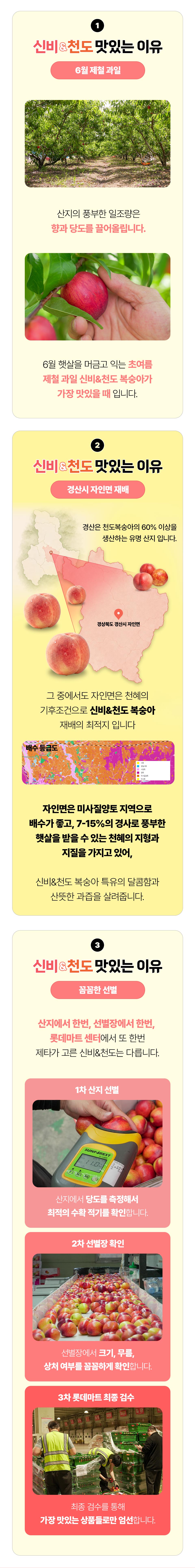 신비&천도 맛있는 이유 6월 제철과일 산지의 풍부한 일조량은 향과 당도를 끌어올립니다.경산 자인면의 미사질양토, 꼼꼼한 선별