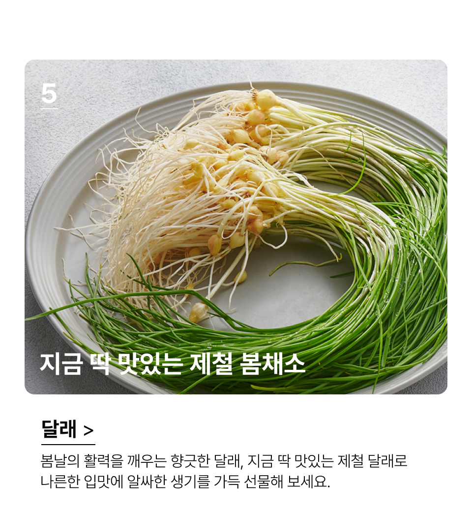지금 딱 맛있는 제철 봄채소 봄날의 활력을 깨우는 향긋한 달래, 지금 딱 맛있는 제철 달래로 
나른한 입맛에 알싸한 생기를 가득 선물해 보세요