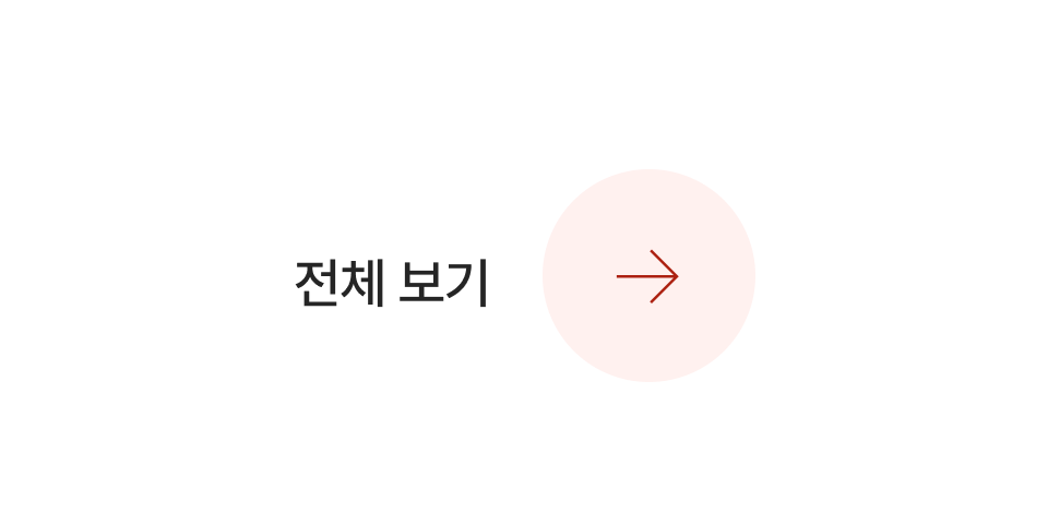 전체보기