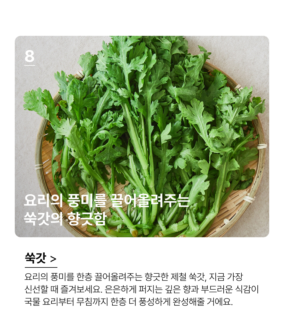 요리의 풍미를 끌어올려주는 향긋함 요리의 풍미를 한층 끌어올려주는 향긋한 제철 쑥갓, 지금 가장 
신선할 때 즐겨보세요. 은은하게 퍼지는 깊은 향과 부드러운 식감이
국물 요리부터 무침까지 한층 더 풍성하게 완성해줄 거에요.