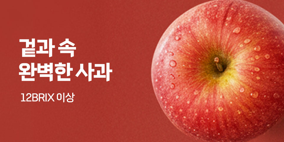 겉과속완벽한사과