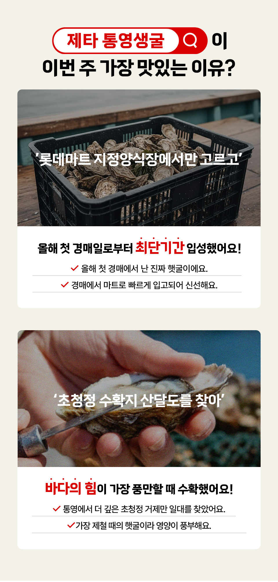 제타 통영생굴이 이번 주 가장 맛있는 이유?
롯데마트 지정양식장에서만 고르고 올해 첫 경매일로부터 최단기간 입성했어요. 올해 첫 경매에서 난 진짜 햇굴이에요.
경매에서 마트로 빠르게 입고되어 신선해요. 초청정 수확지 산달도를 찾아
바다의 힘이 가장 풍만할 때 수확했어요 통영에서 더 깊은 초청정 거제만 일대를 찾았어요.
가장 제철 때의 햇굴이라 영양이 풍부해요.