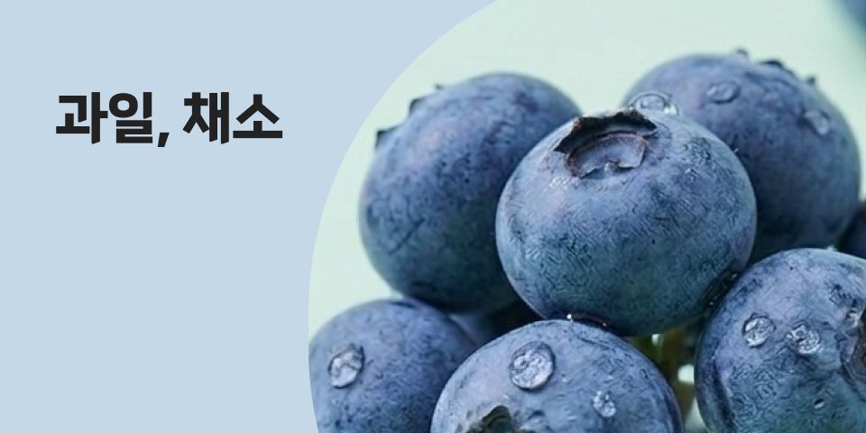 갓 수확한 싱싱함 과일, 채소