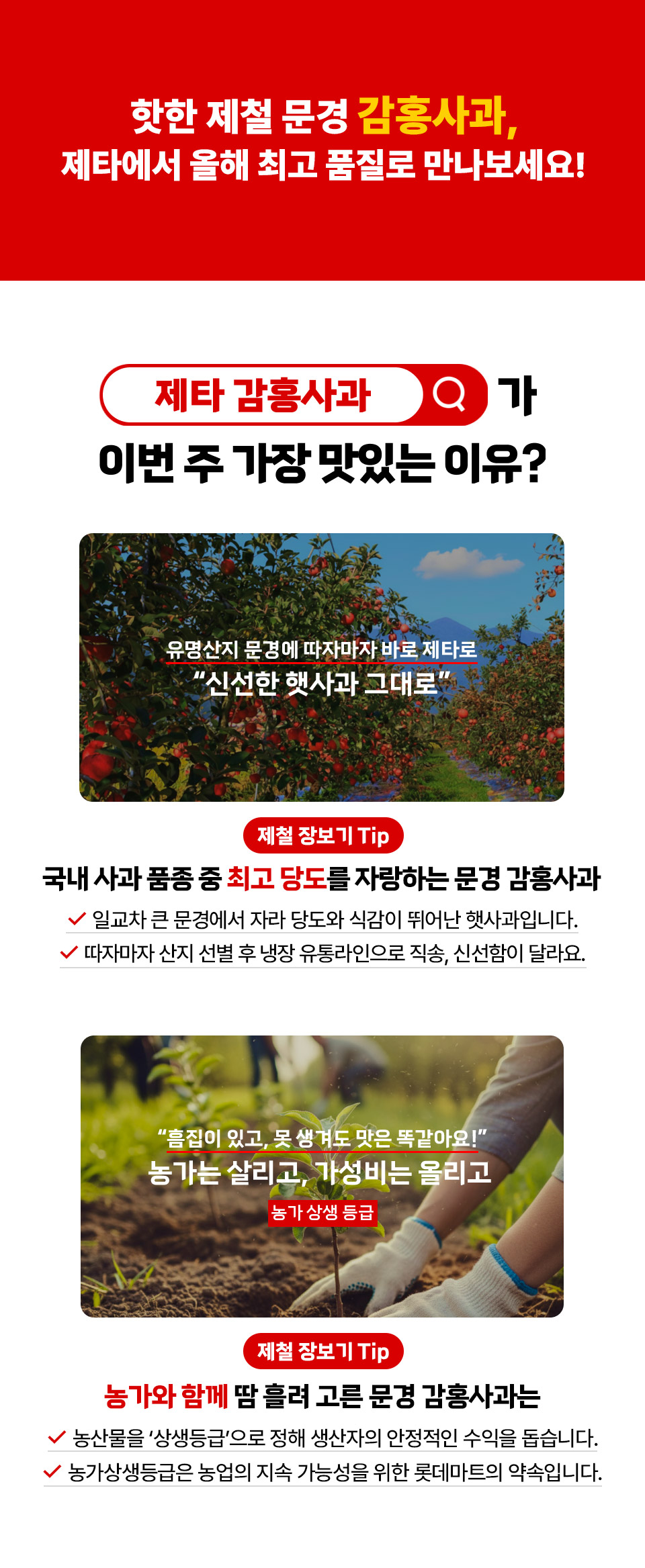 핫한 제철 문경 감홍사과, 제타에서 올해 최고 품질로 만나보세요!
제타 감흥사과가 이번 주 가장 맛있는 이유?
유명산지 문경에 따자마자 바로 제타로 신선한 햇사과 그대로
제철 장보기 Tip 국내 사과 품종 중 최고 당도를 자랑하는 문경 감홍사과
일교차 큰 문경에서 자라 당도와 식감이 뛰어난 햇사과입니다.
따자마자 산지 선별 후 냉장 유통라인으로 직송, 신선함이 달라요.
흠집이 있고, 못 생겨도 맛은 똑같아요! 농가는 살리고, 가성비는 올리고
농가 상생 등급 제철 장보기 Tip
농가와 함께 땀 흘려 고른 문경 감홍사과는
농산물을 '상생등급'으로 정해 생산자의 안정적인 수익을 돕습니다.
농가상생등급은 농업의 지속 가능성을 위한 롯데마트의 약속입니다.