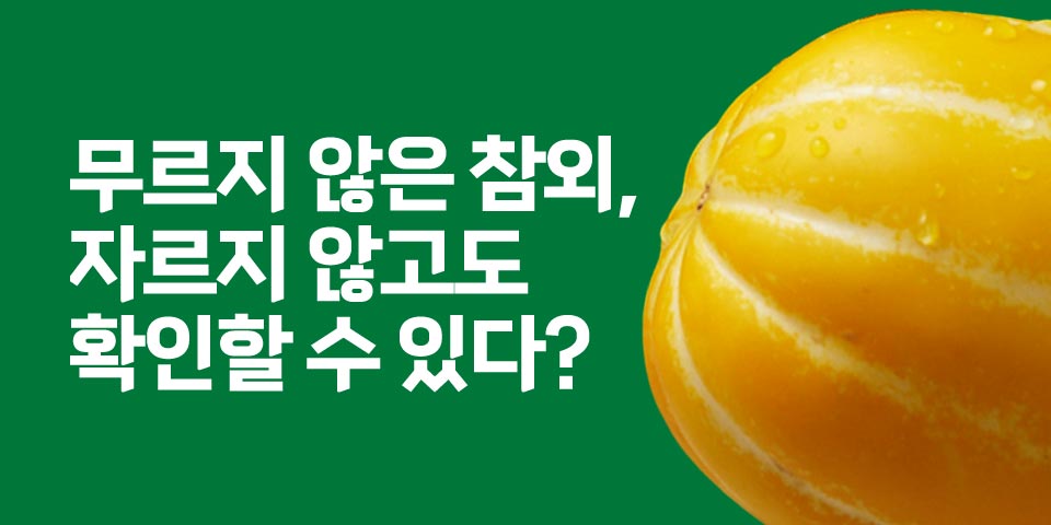 무르지 않은 참외, 자르지 않고도 확인할 수 있다?