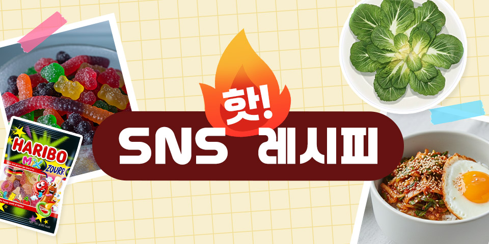 SNS 핫 레시피