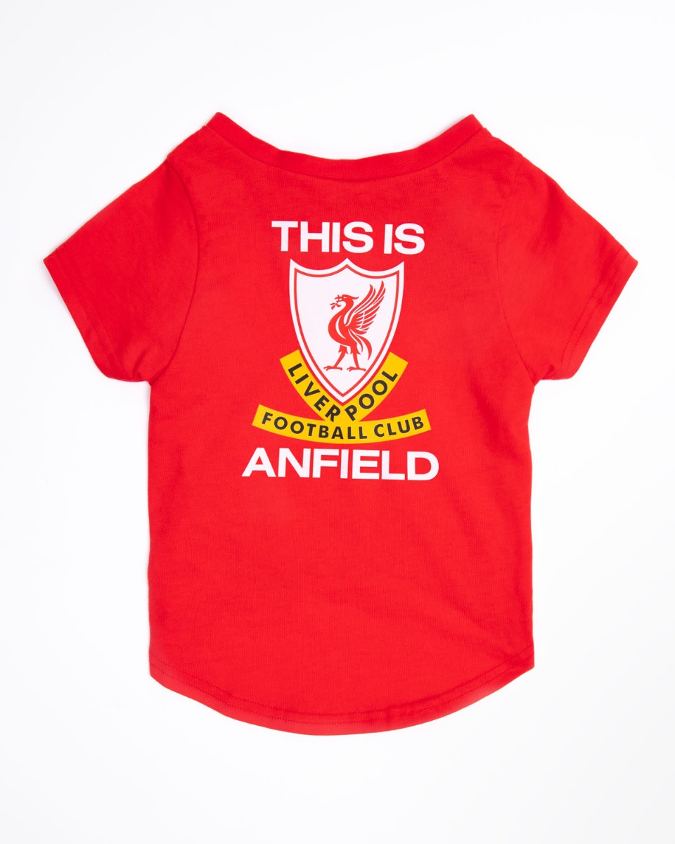 LFC Dog Detta är Anfield Tee - Image 4