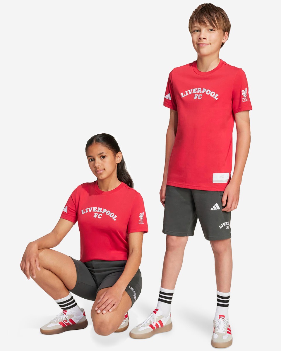 LFC adidas Youth 25/26 US Pack Shorts Grey - Image 1
