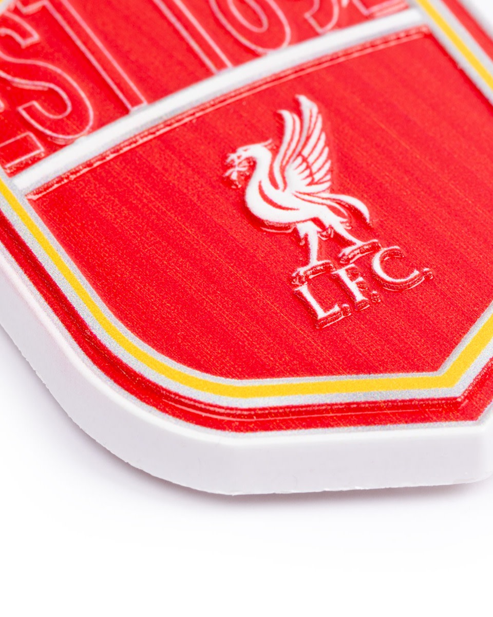 แม่เหล็กเรซิน LFC - Image 2