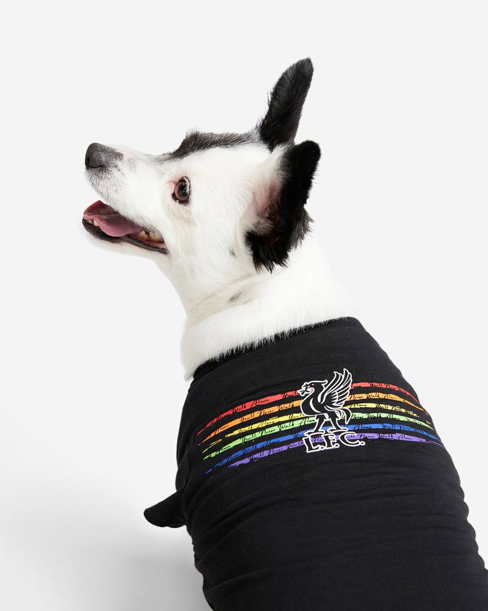 T-shirt Liverbird Pride du LFC pour chien - Image 2