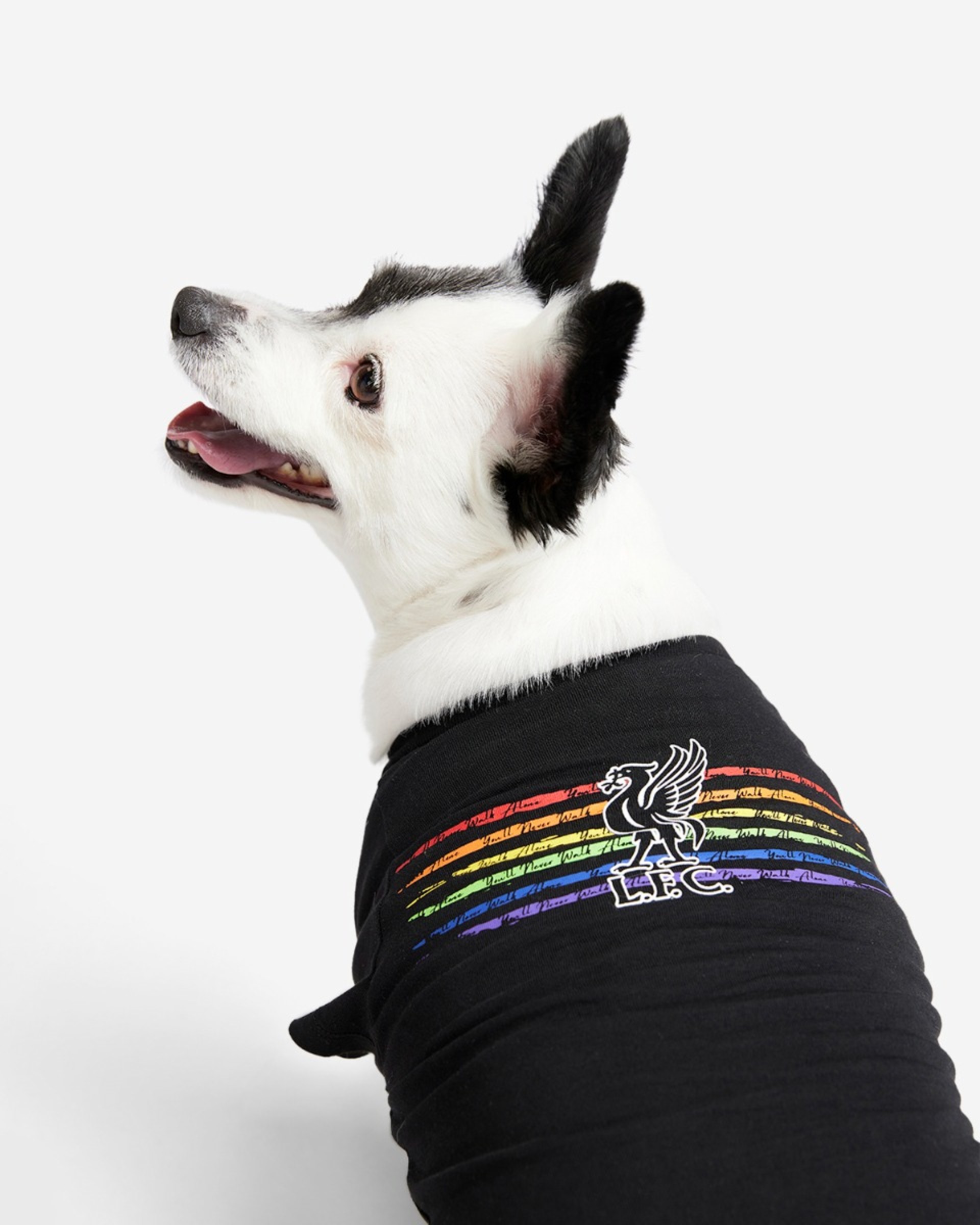 LFC Dog Liverbird Pride Tee - Image 2