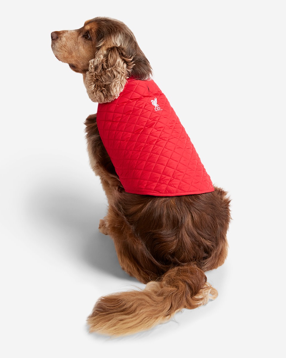 LFC Dog Quilted Jacket - Image 3