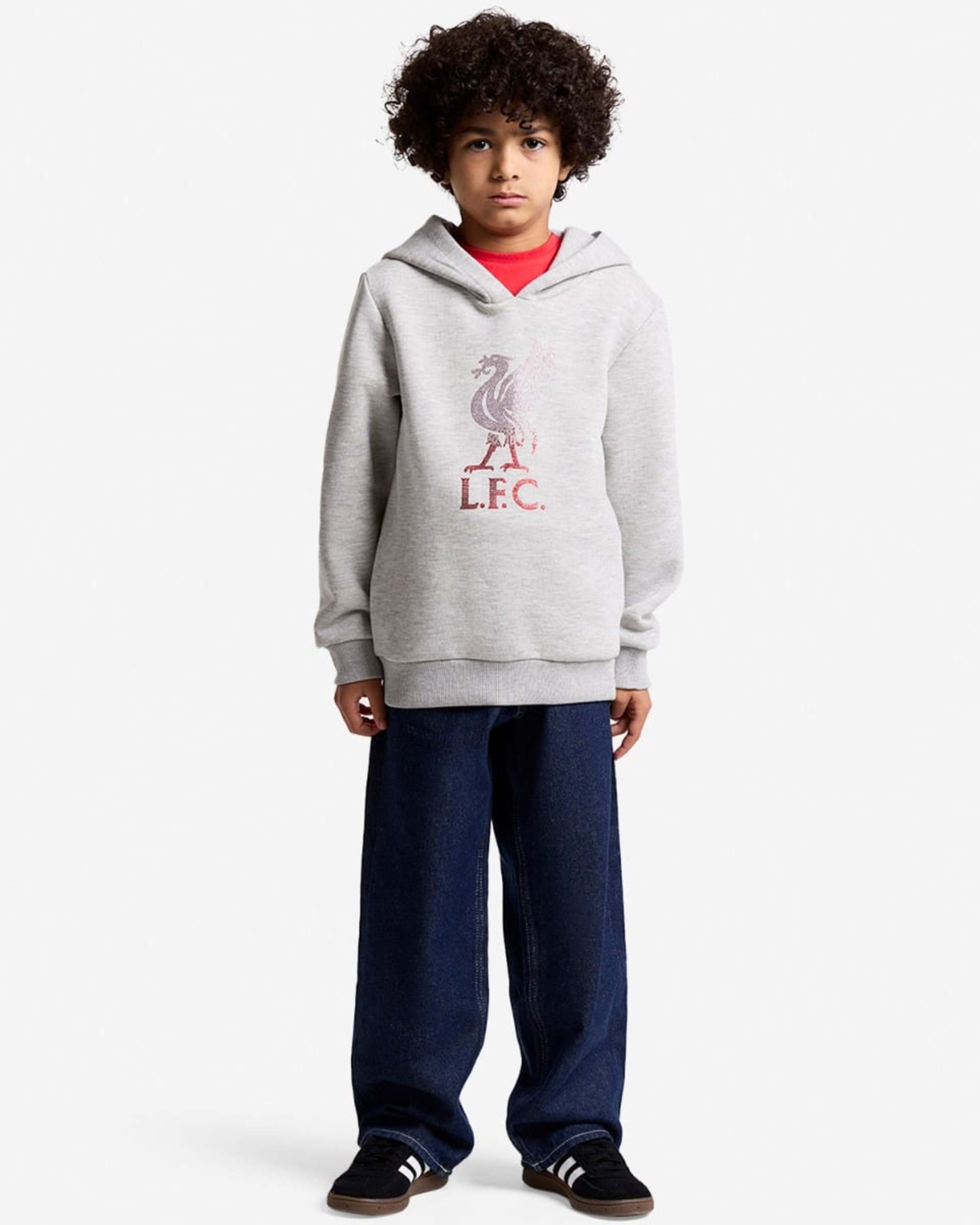 LFC Infants Diamente Liverbird Hættetrøje Grå - Image 3