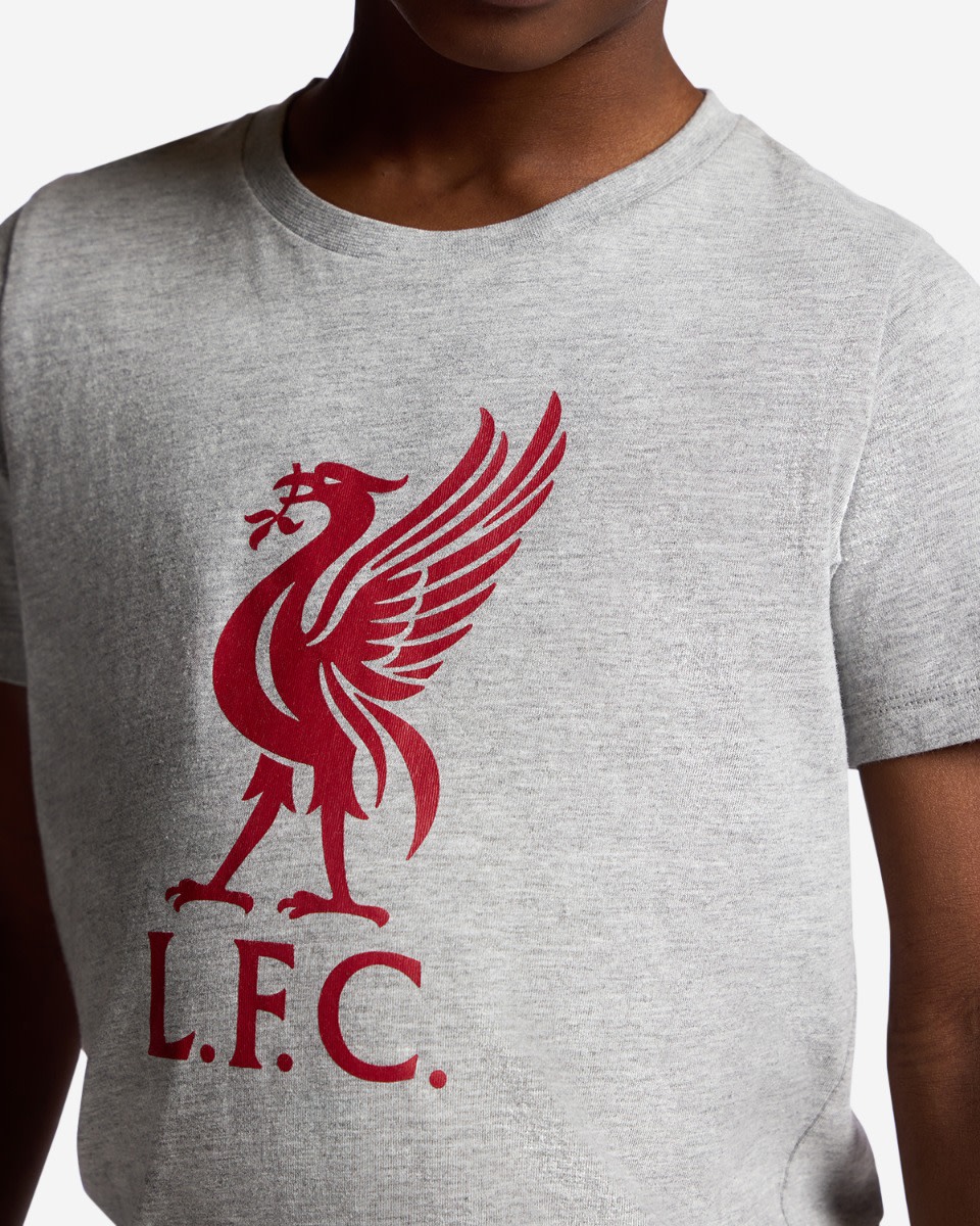 LFC Juniors Check Shorts Pyjamas Set Grey - Image 3