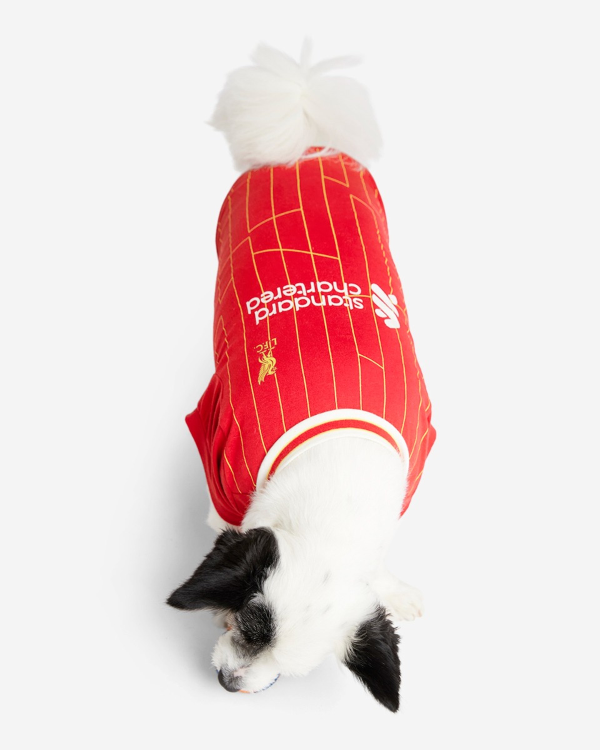 LFC 24/25 Heimtier-T-Shirt - Image 3