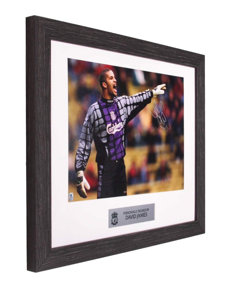 LFC 签约 David James 图片 - Image 2