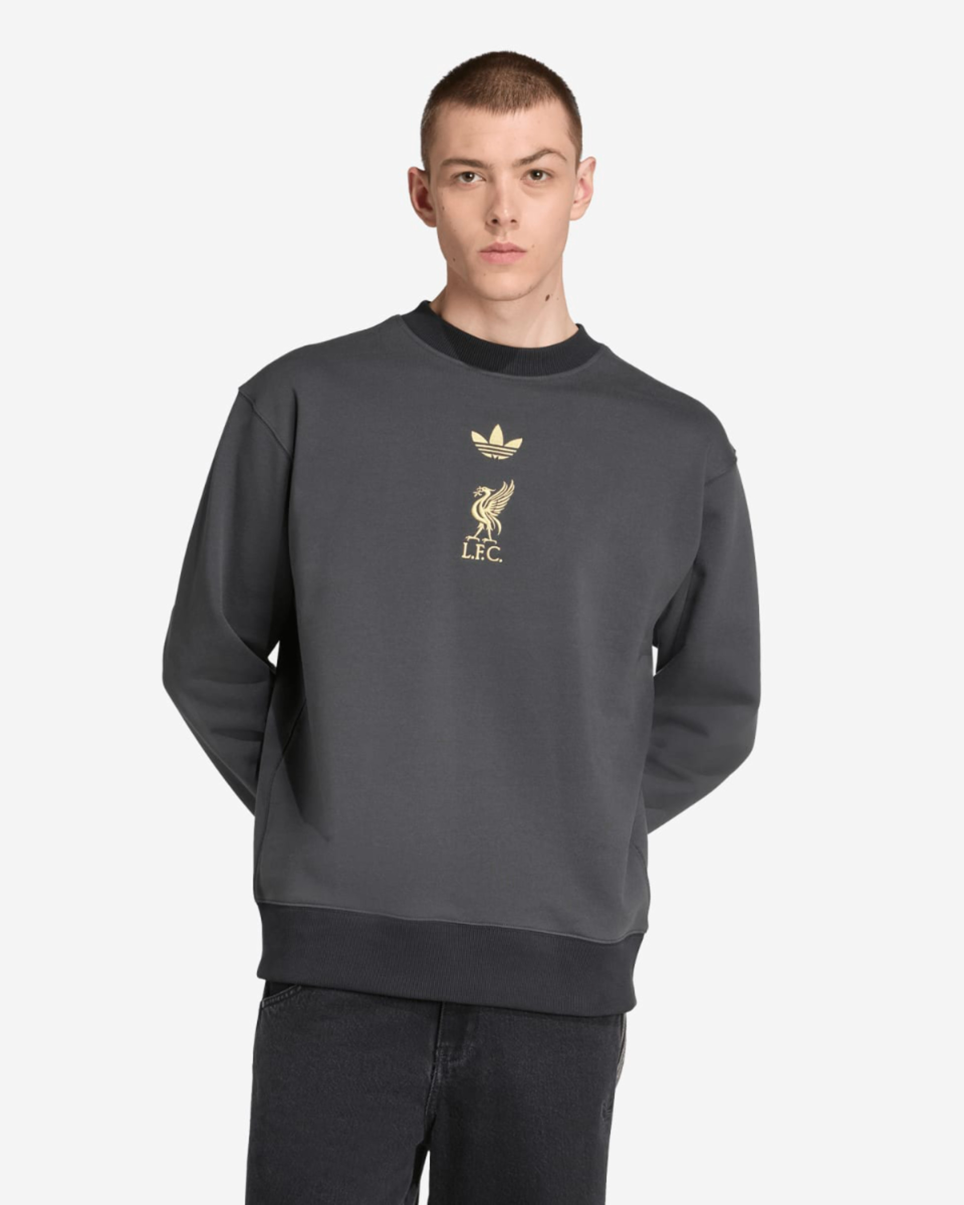 เสื้อสเวตเตอร์ผู้ชาย LFC adidas 25/26 LFSTLR Crew สีเทาเข้ม - Image 1