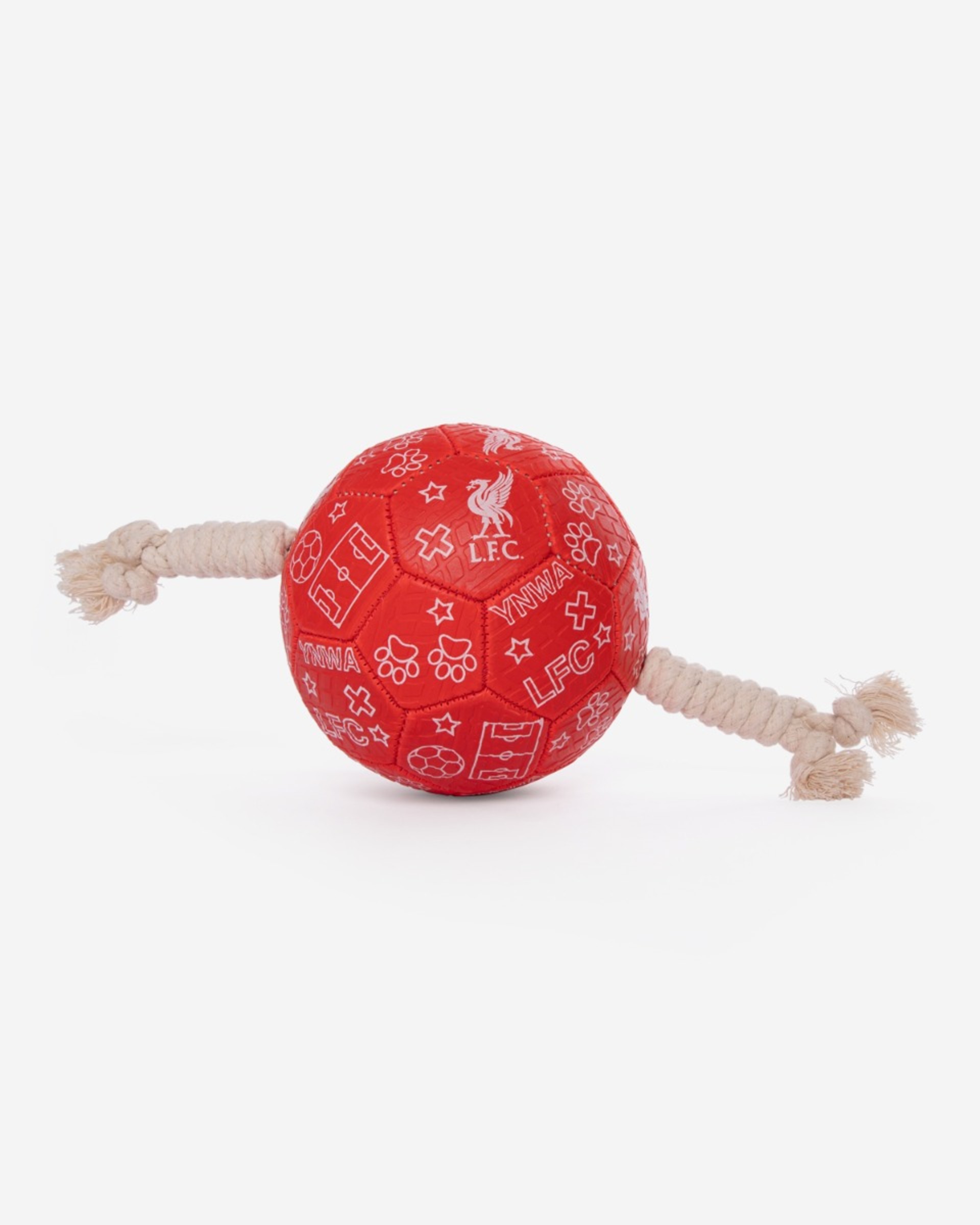 LFC Hundefodbold - Image 1