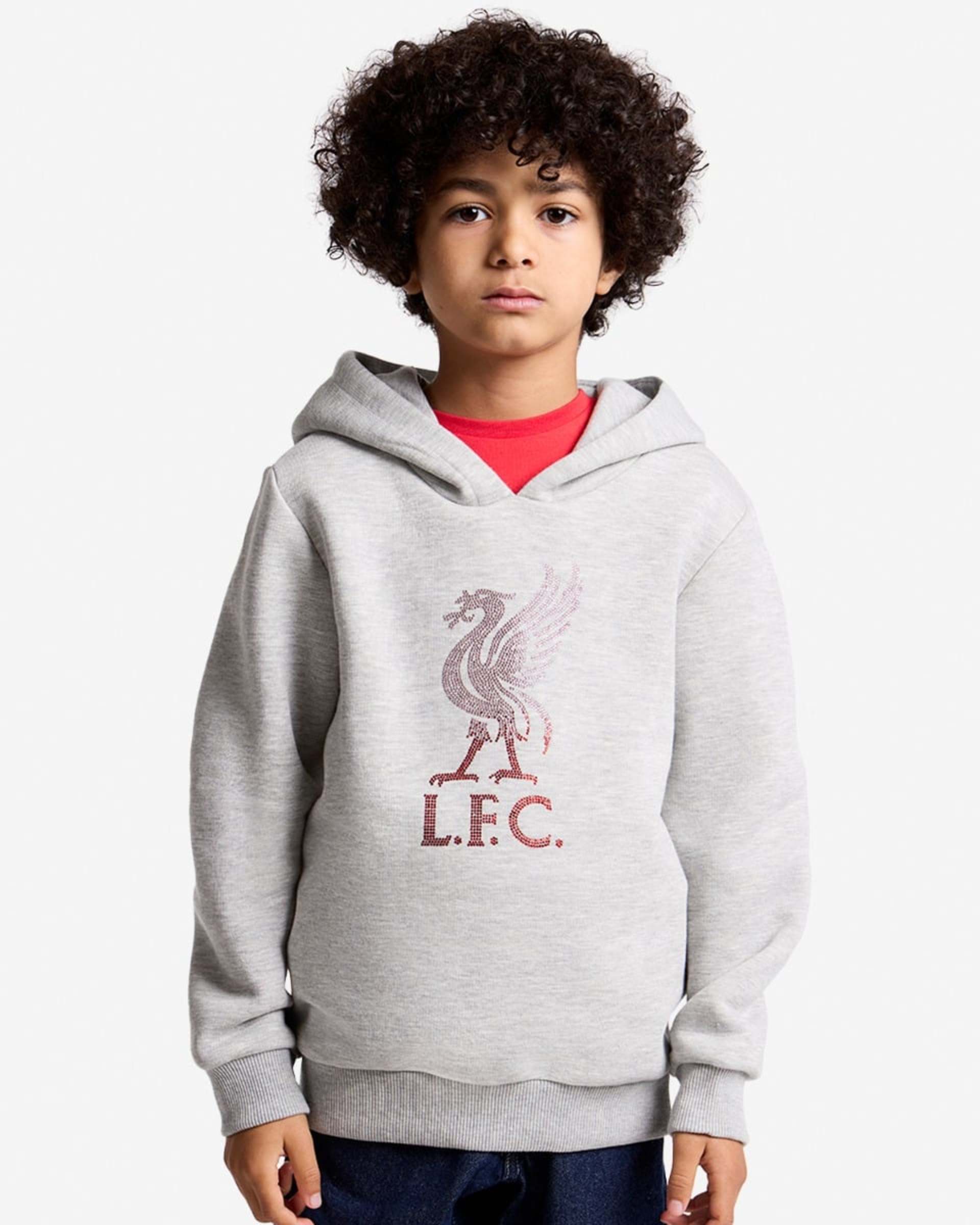 LFC Infants Diamente Liverbird Hættetrøje Grå - Image 1
