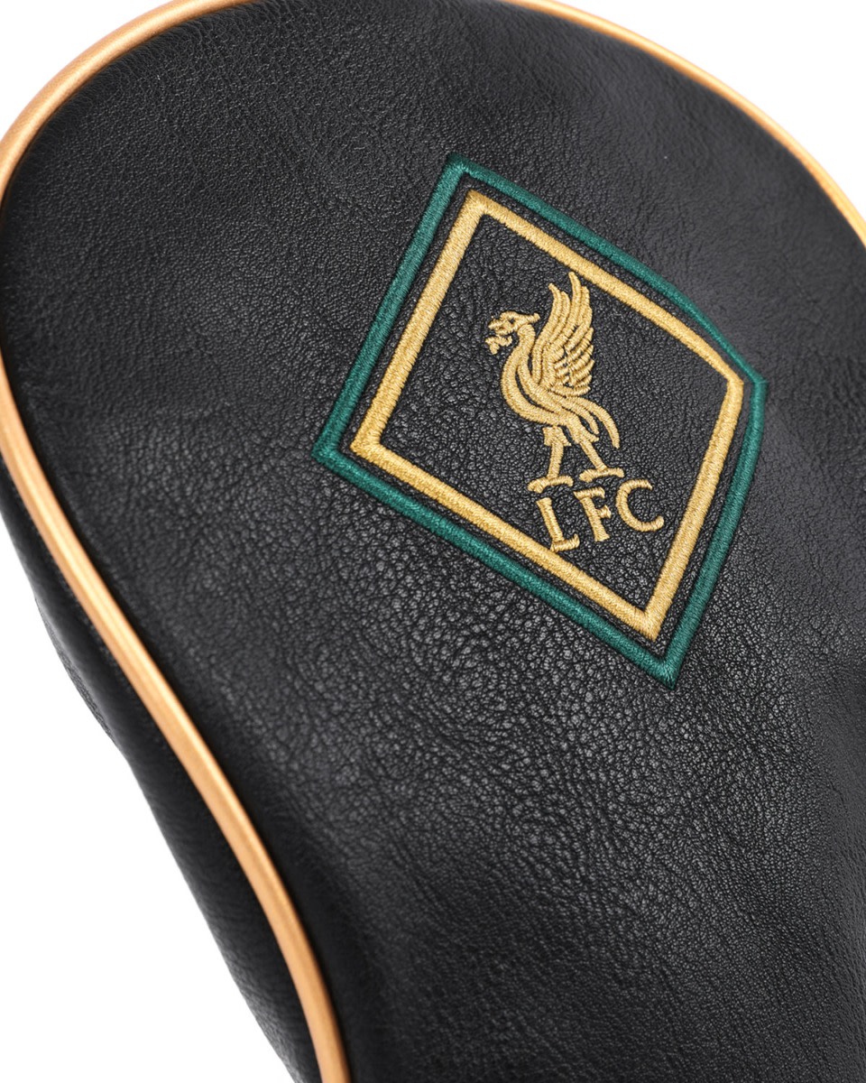 Cubierta del controlador LFC - Image 3
