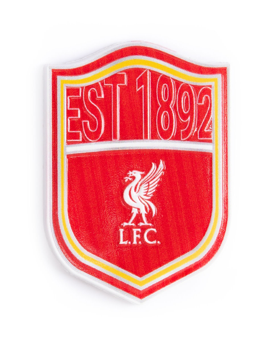 แม่เหล็กเรซิน LFC - Image 1
