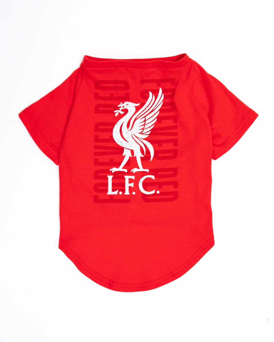 LFC Pet Forever Red Tee - Image 4