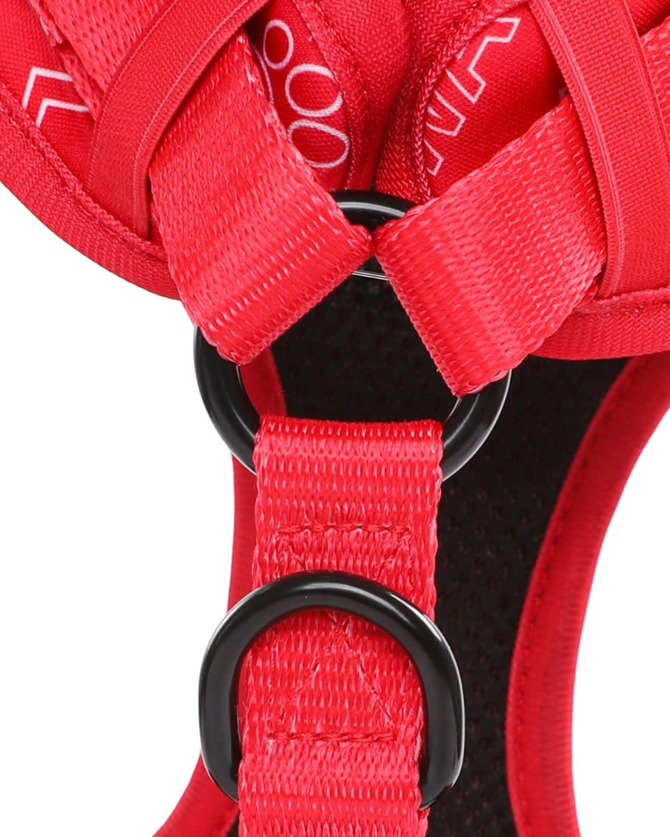 LFC Pet Harness - Image 3
