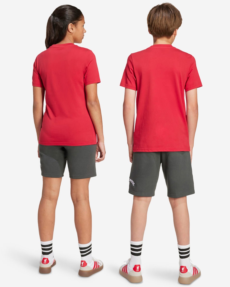 LFC adidas Youth 25/26 US Pack Shorts Grey - Image 2