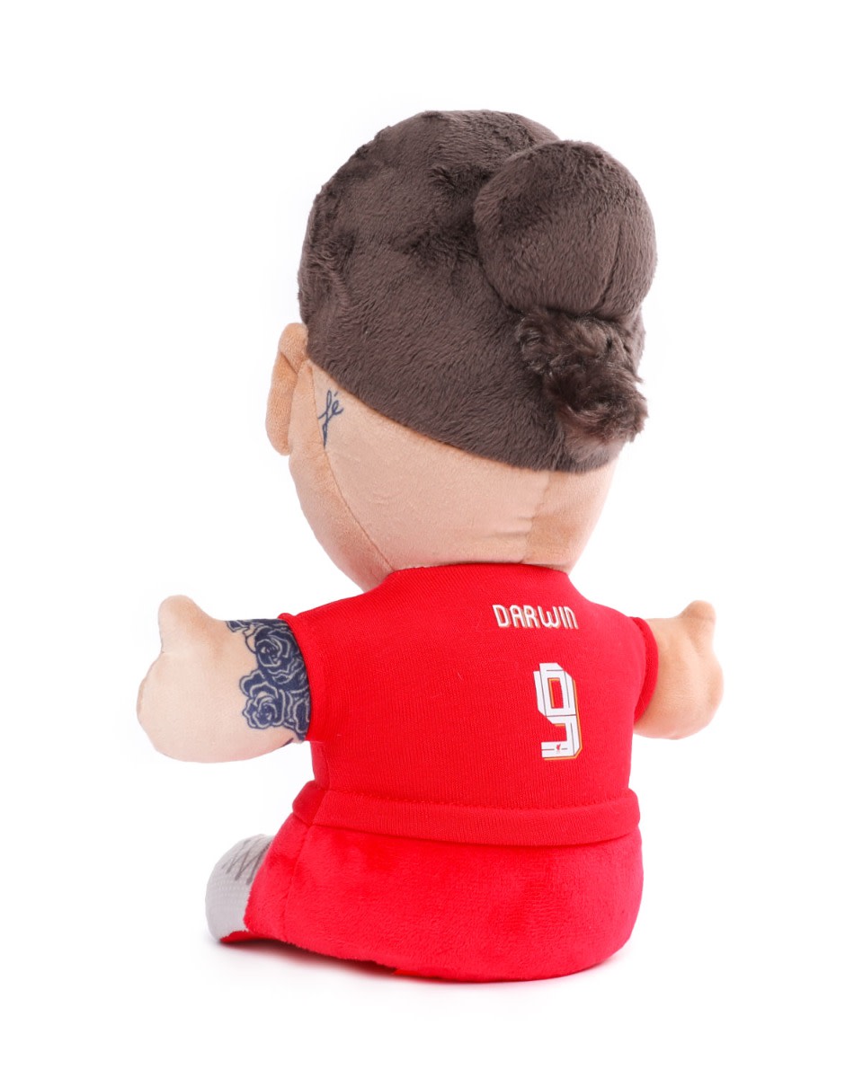 LFC Crowd Singing Player Plysch Darwin - Image 2