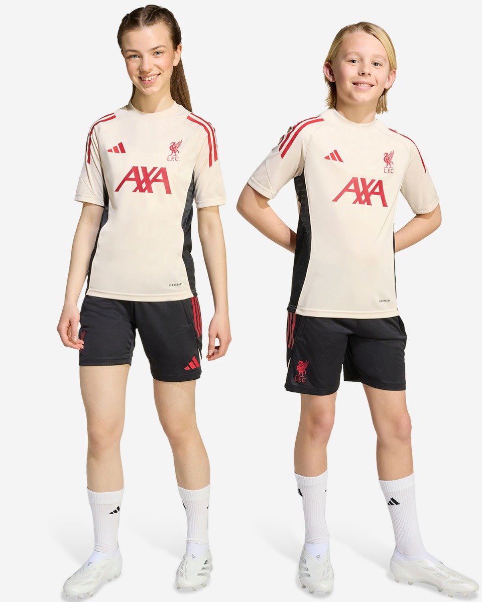 LFC adidas Youth 25/26 Domestic Training Shorts Black - Image 3
