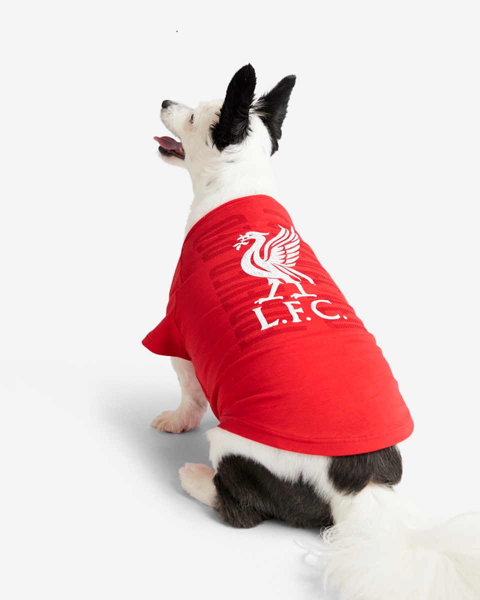 LFC Pet Forever Red Tee - Image 1